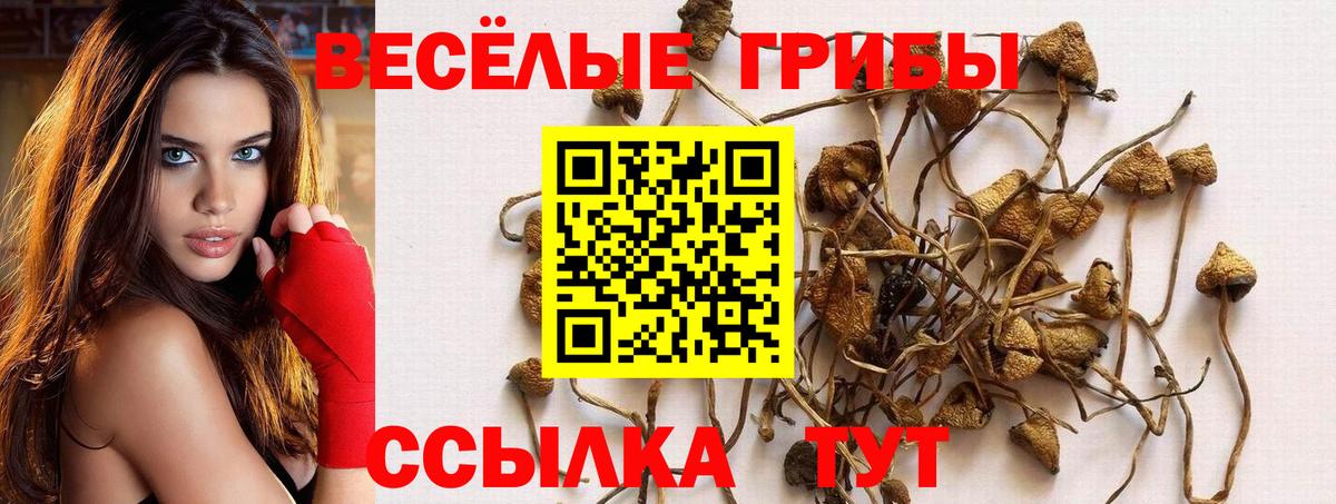 цена   Псилоцибиновые грибы ЛСД  Вход с VPN  Касимов  Галлюциногенные грибы мухоморы 